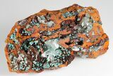 Rosasite, Selenite and Calcite Crystal Association - Mexico #180777-2